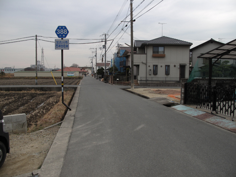 20140125hike (490)